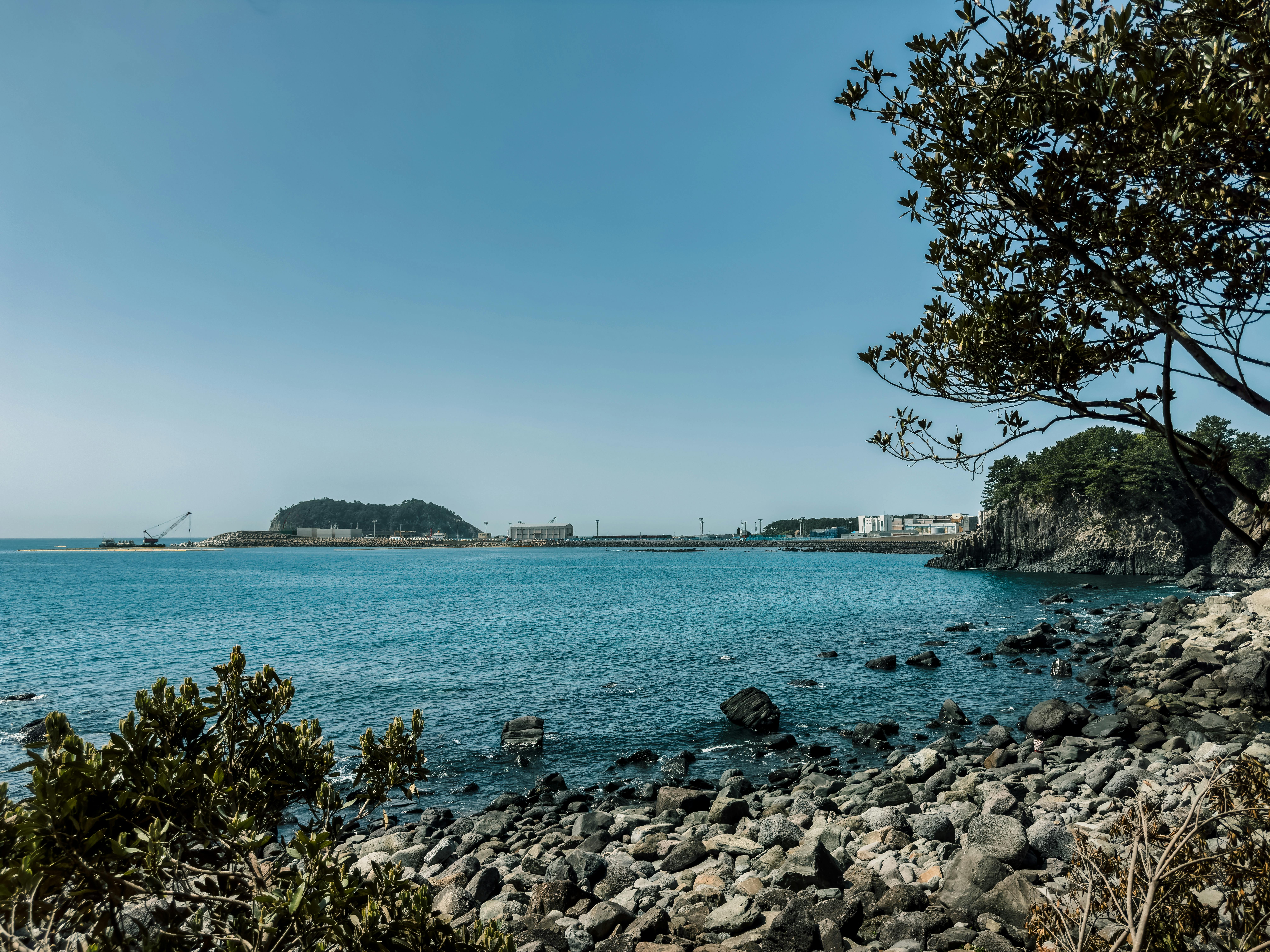 Serenity by the Blue Coast, Jeju City